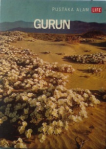 Gurun