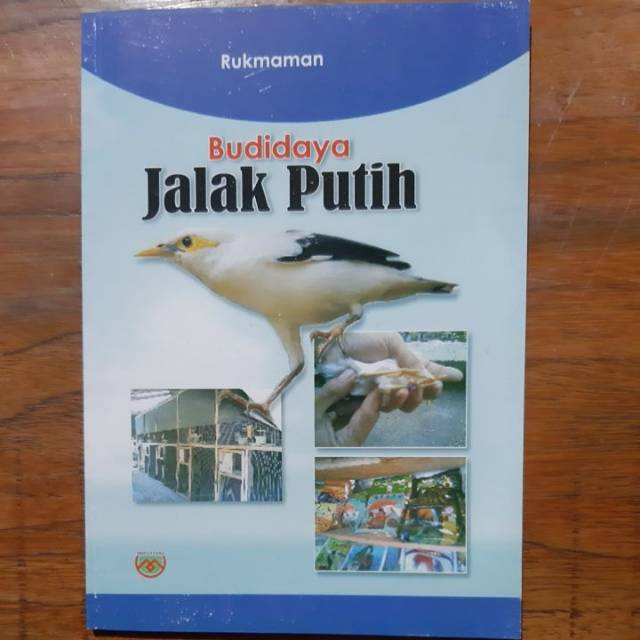 Budidaya jalak putih