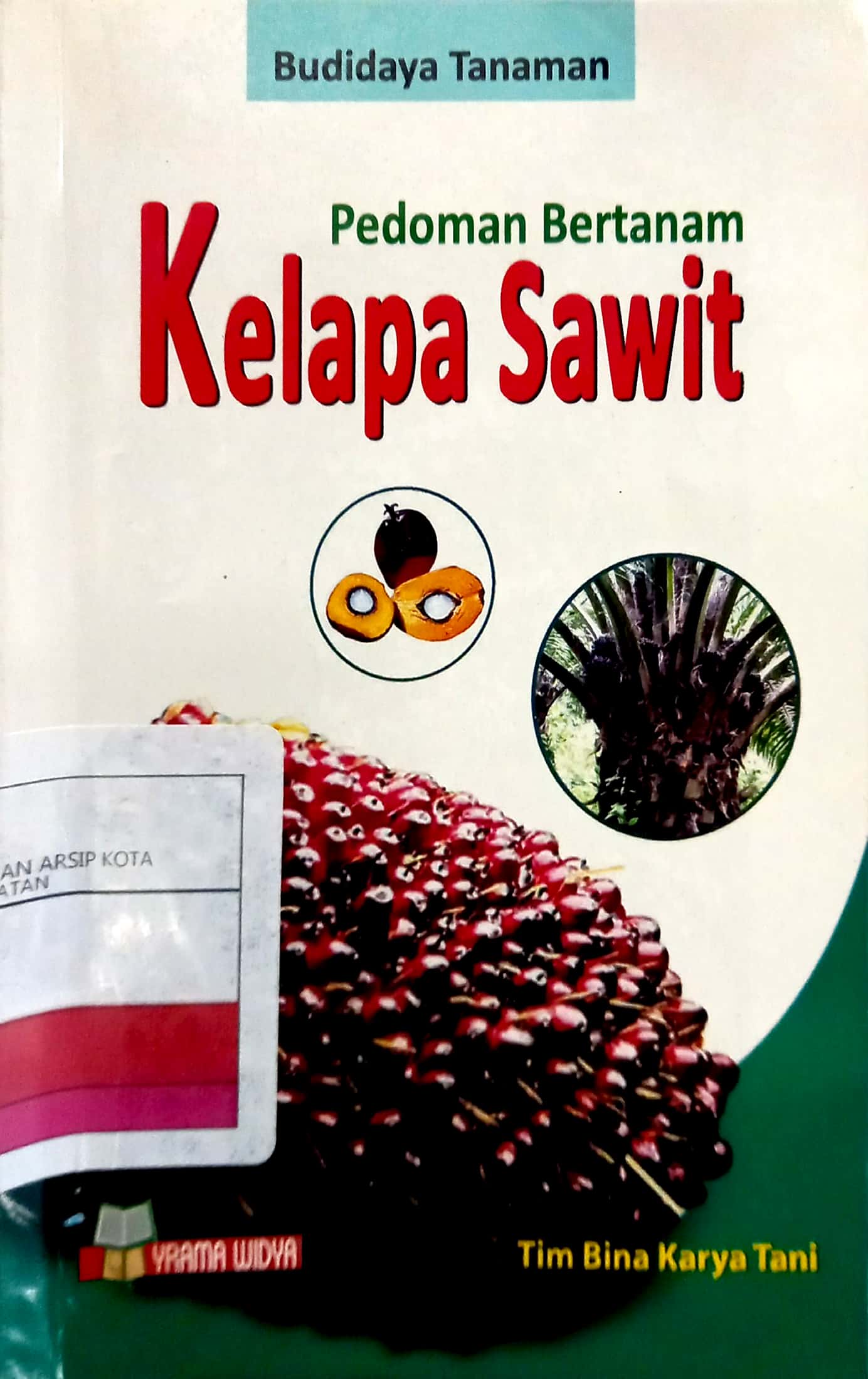 Tanaman kelapa sawit