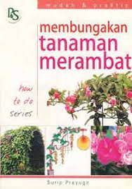 Membungakan tanaman merambat