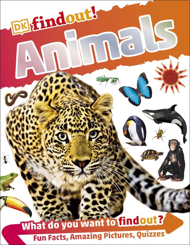 DK findout! Animals
