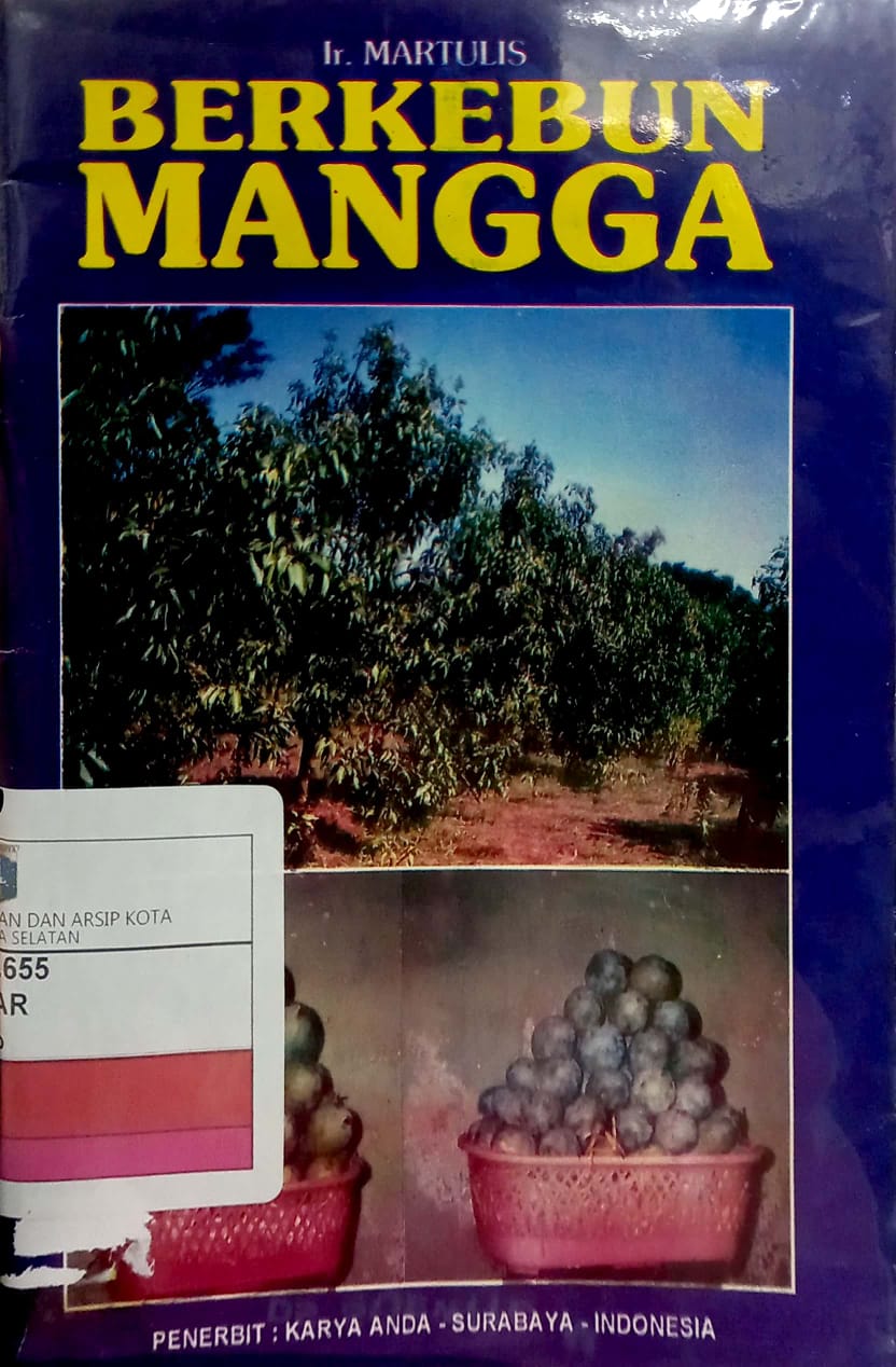 Berkebun mangga