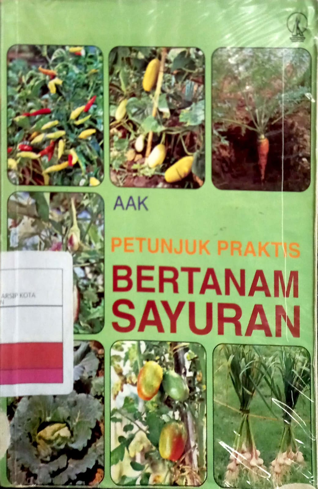 Petunjuk praktis bertanam sayuran