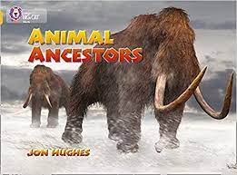 Animal ancestors / Jon Hughes