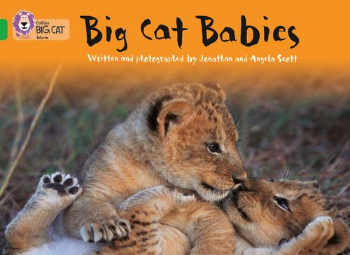 Big cat babies