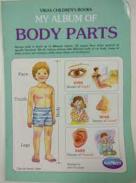 Vikas Children's Books : My Album of Body Parts