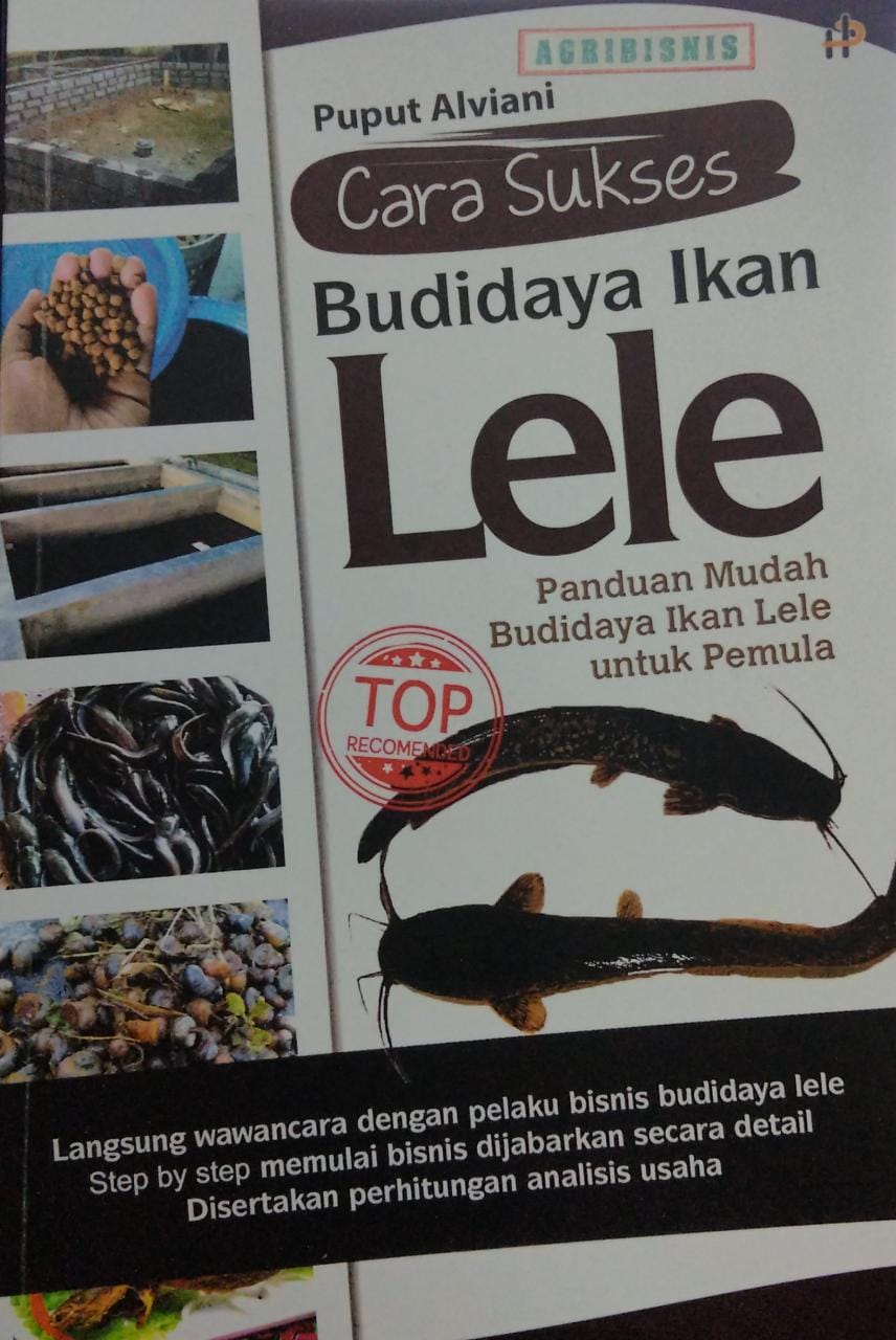 Cara sukses budidaya ikan lele