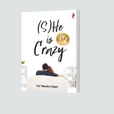(S)he is crazy