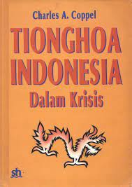 Tionghoa Indonesia dalam Krisis