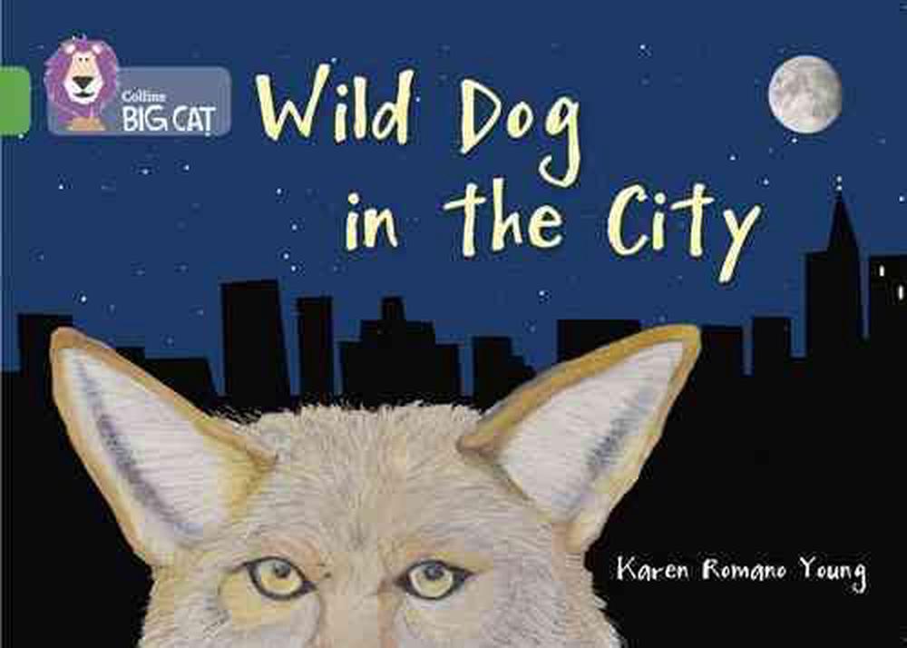 Wild dog in the city