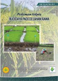 Budi Daya Padi di Lahan Rawa / Okky Steviano dan Ifan Mutaqien