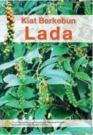 Kiat berkebun lada