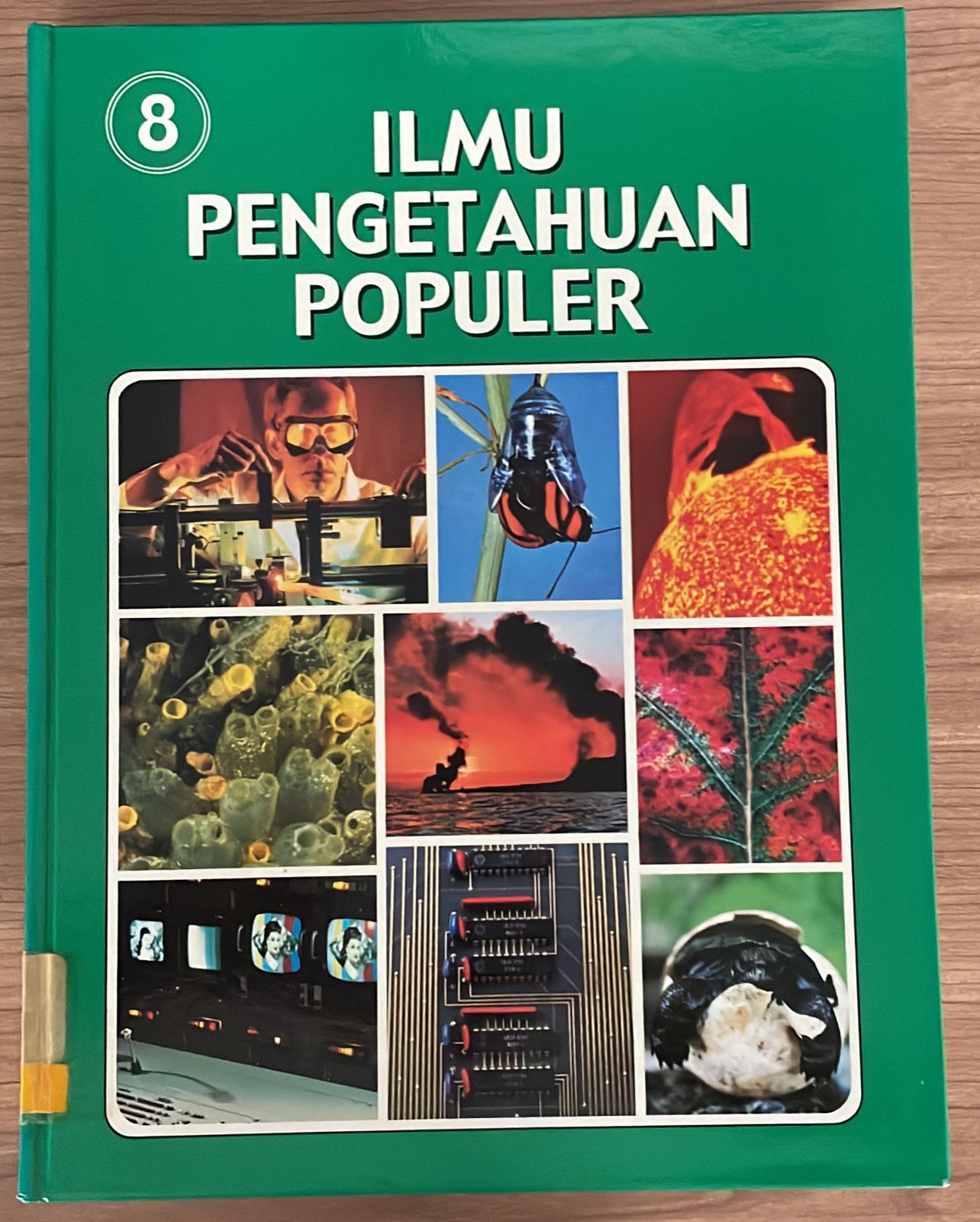 Ilmu Pengetahuan Populer 8 : Mamalia, Ilmu Pengetahuan Manusia