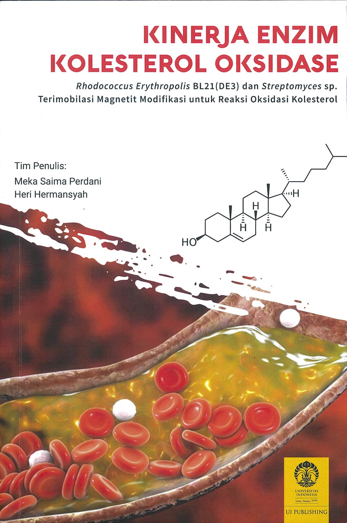 Kinerja enzim kolesterol oksidase Rhodococcus Erythropolis BL21(DE3) dan Streptomyces sp. terimobilasi magnetit modifikasi untuk reaksi oksidasi kolesterol