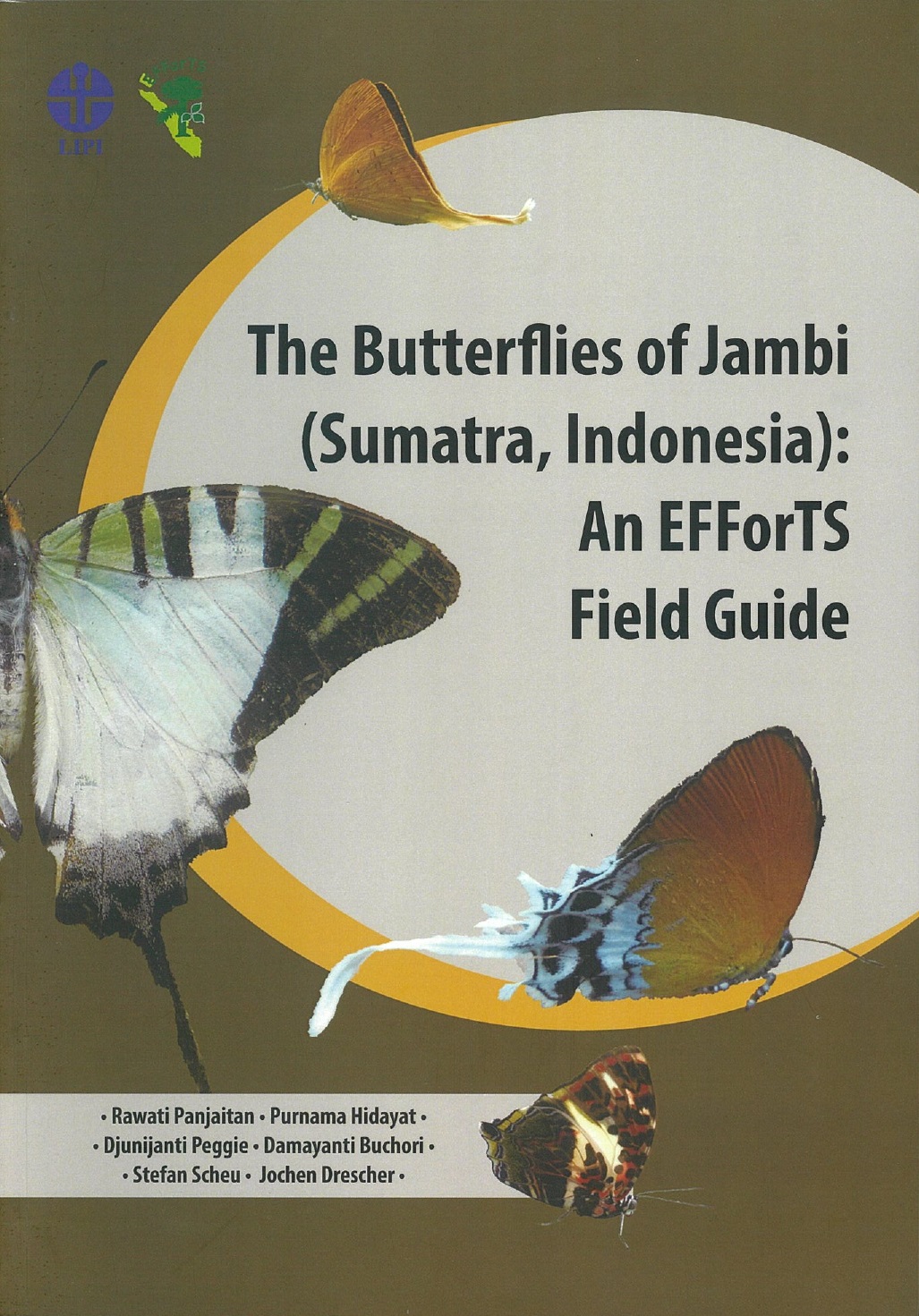 The butterflies of Jambi (Sumatra, Indonesia) : an efforts field guide