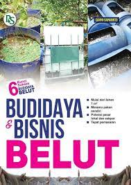 Budidaya & bisnis belut : 6 kunci sukses budidaya belut