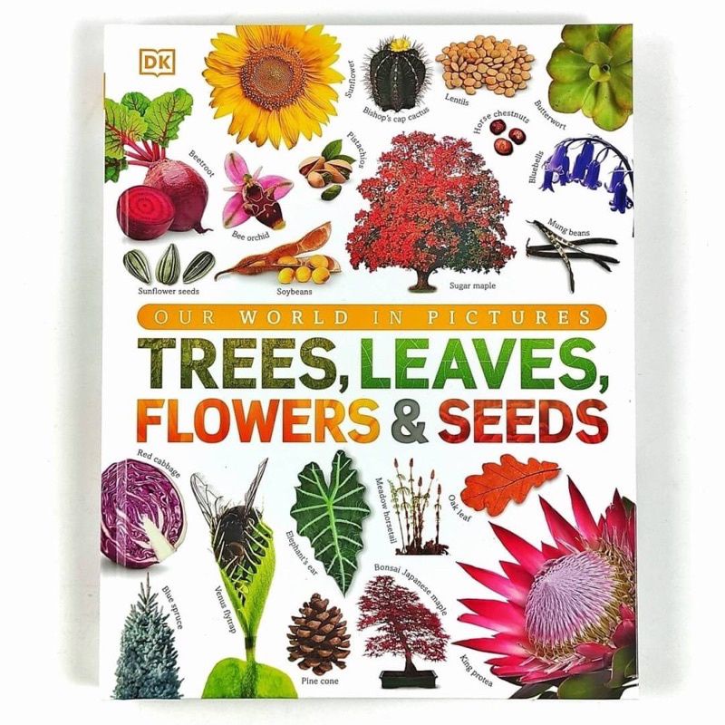 Our world in pictures : trees, leaves, flowers dan seeds