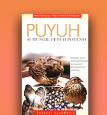 PUYUH : Simungil penuh potensi