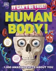 It Can't Be True! Human Body / It Can't Be True! Human Body