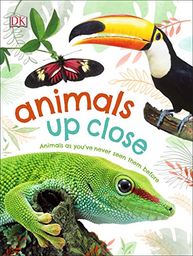 Animals Up Close / Animals Up Close