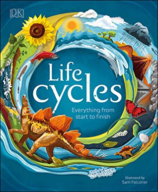 Life cycles everything from start to finish