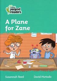 A Plane or Zane