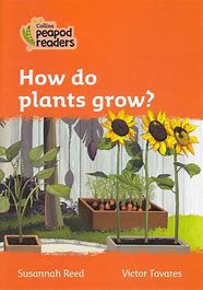How Do Plants Grow?