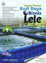 Kupas tuntas budi daya dan bisnis lele