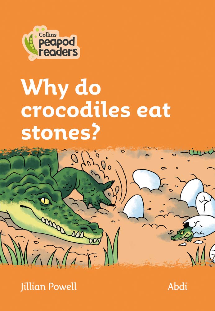 Why do crocodiles eat stones?