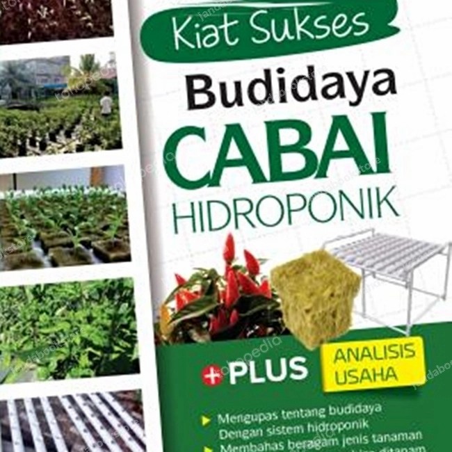 Kiat sukses budi daya cabai hidroponik