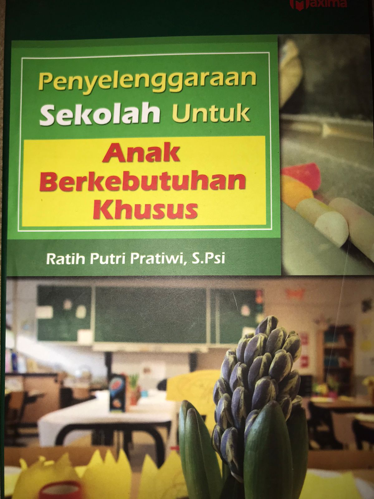 Penyelenggaraan sekolah untuk anak berkebutuhan khusus