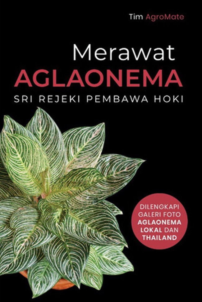 Merawat aglaonema : sri rejeki pembawa hoki