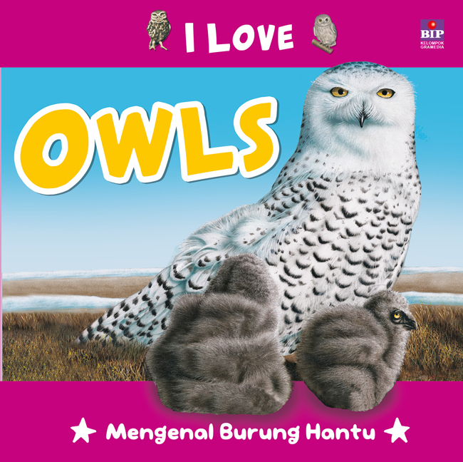 I love owls :  mengenal burung hantu / Steve Parker; penerjemah, Safran Yusri
