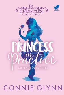 Princess in practice