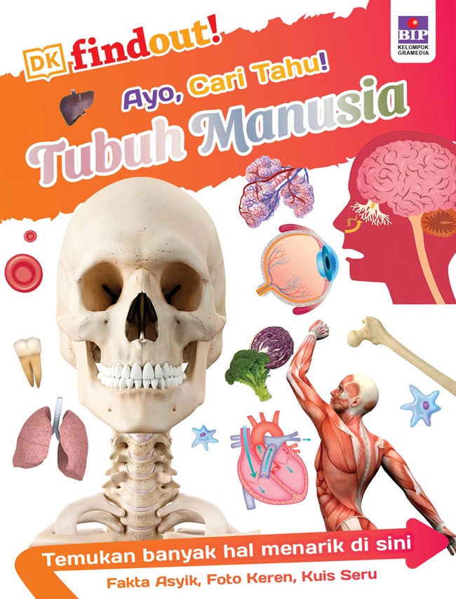 Ayo, cari tahu! tubuh manusia