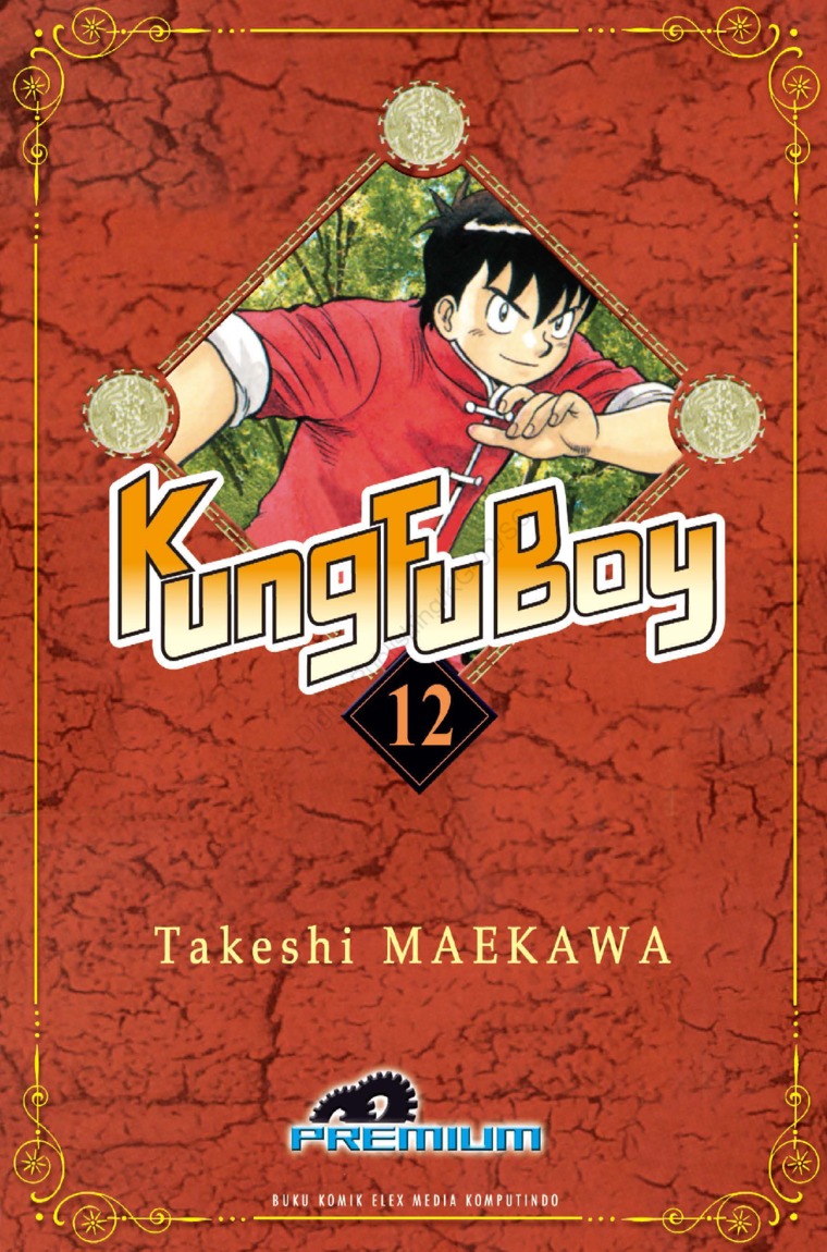 Kung fu boy premium 12