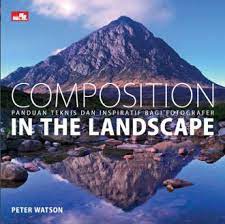 Composition in landscape : panduan teknis dan inspiratif bagi fotografer