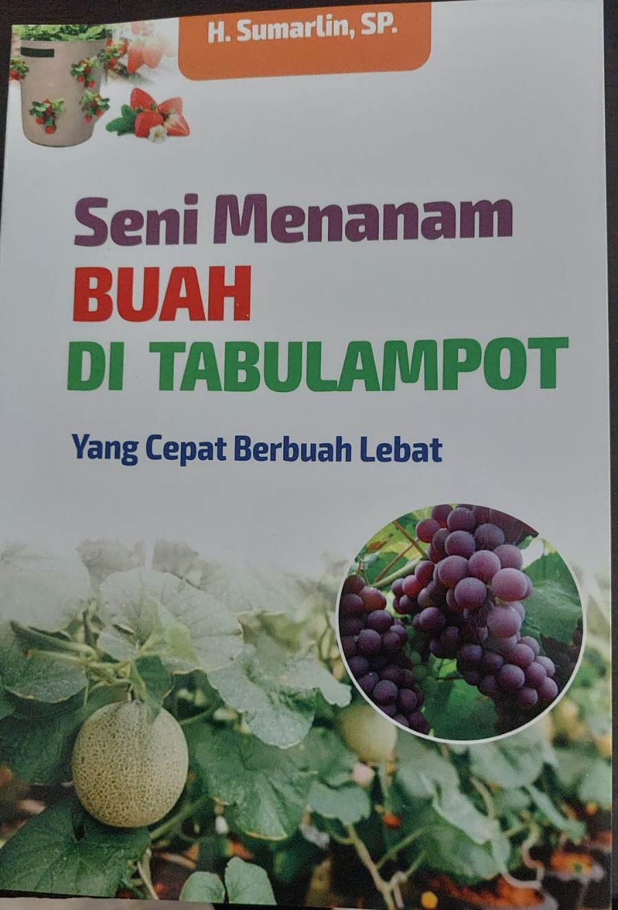 Seni menanam buah di tabulampot : yang cepat berbuah lebat