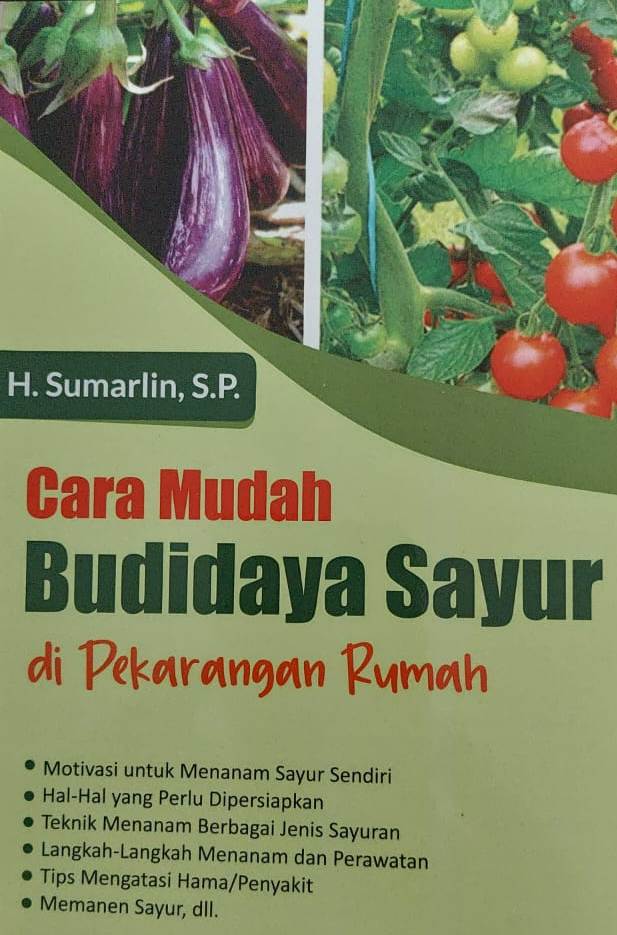 Cara mudah budidaya sayur di perkarangan rumah