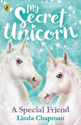 My secret unicorn : a special friend