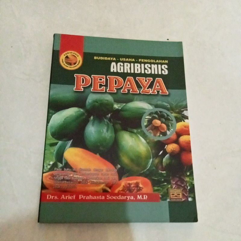 Budidaya - usaha- pengolahan agribisnis pepaya
