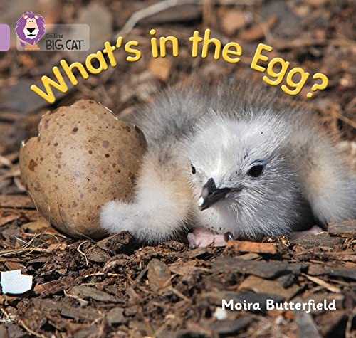 What's in the egg?