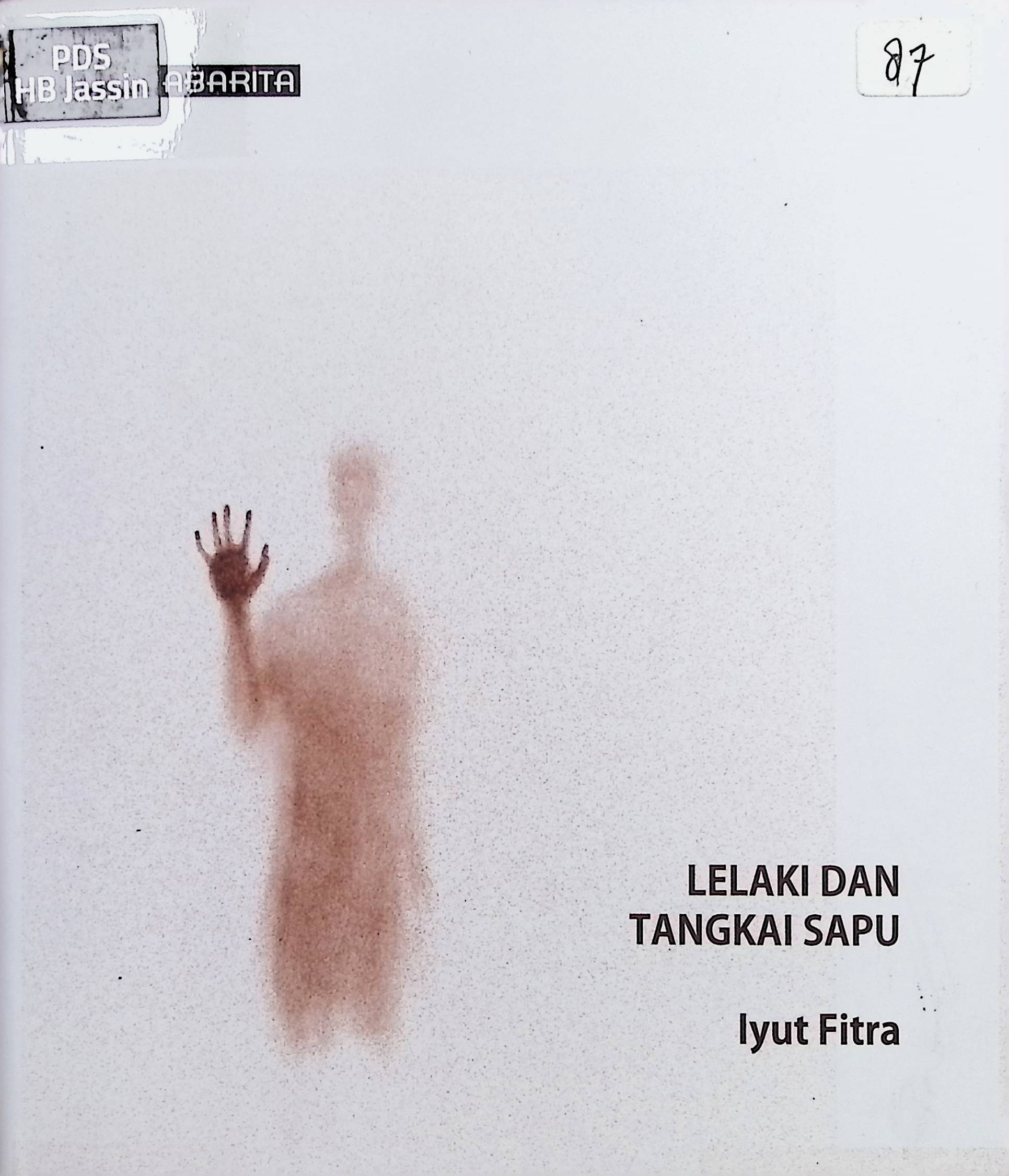 Lelaki dan Tangkai Sapu / Iyut Fitra