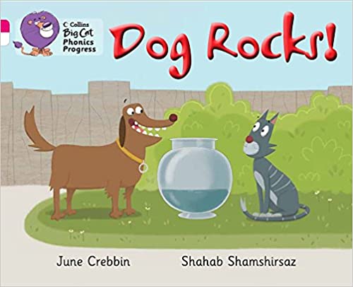 Dog rocks!
