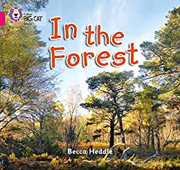 In the forest