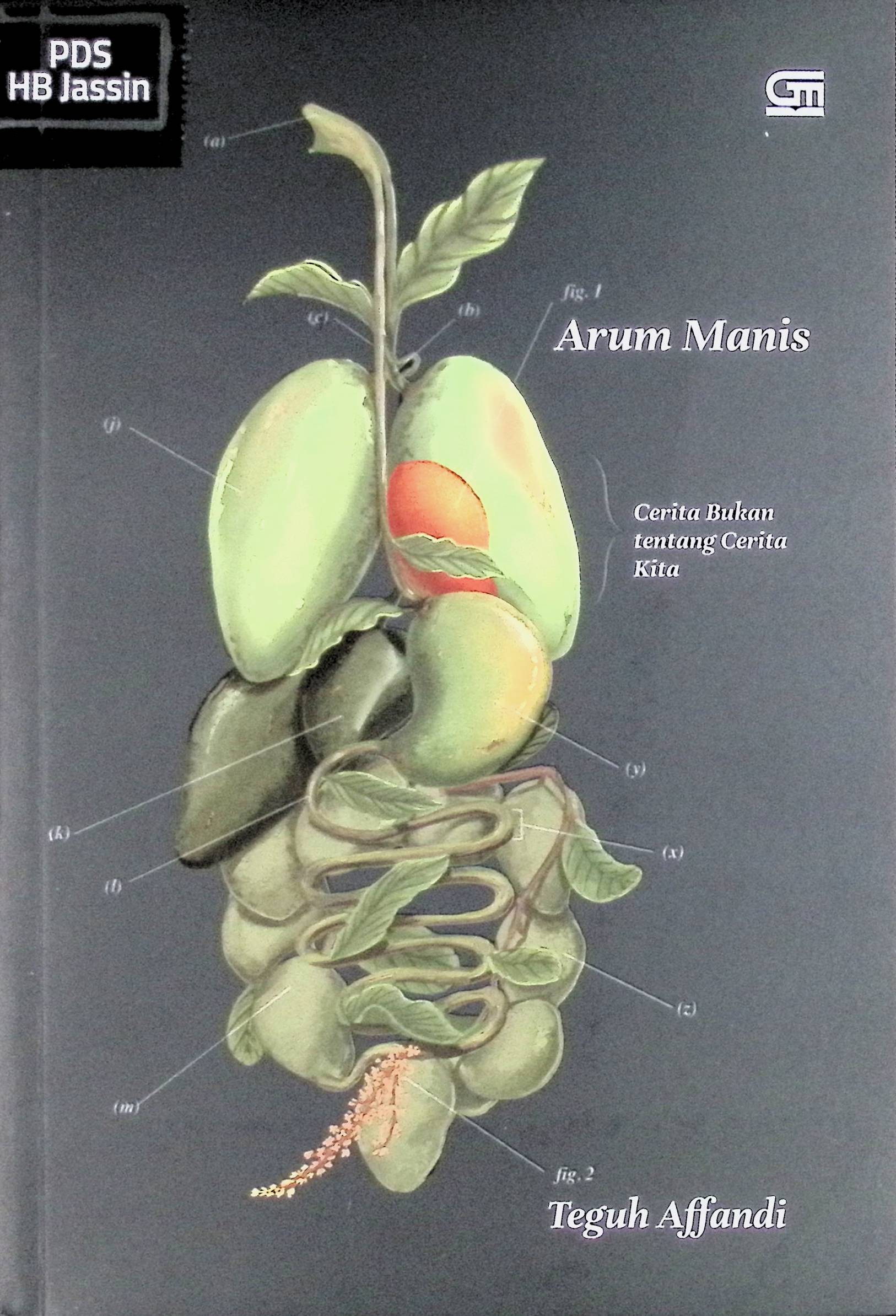 Arum manis :  cerita bukan tentang cerita kita / Teguh Affandi ; editor, Mirna Yulistianti