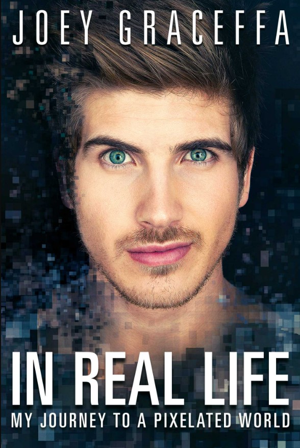 in real life : my journey to a pixelated world