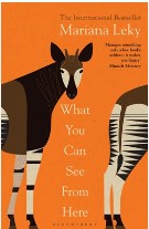 What you can see from here