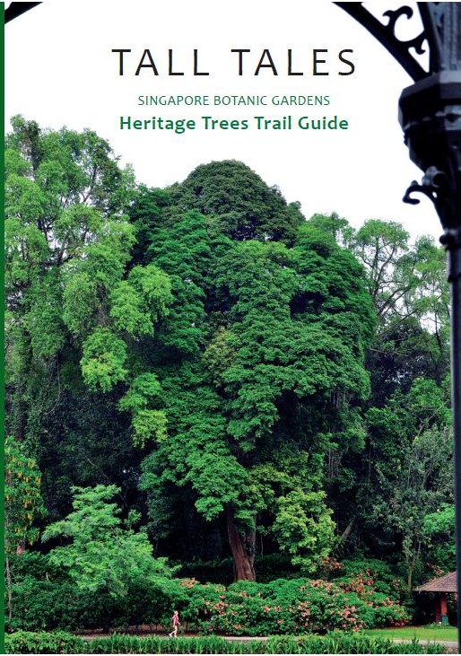Tall tales : Singapore botanic gardens heritage trees trail guide