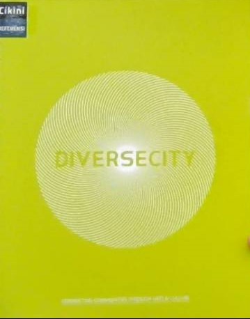 Diversecity : connecting communities through arts & culture
